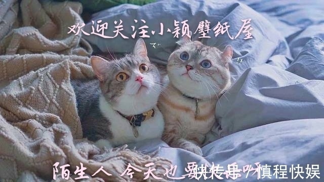 小颖|神仙·女生头像丨但远山长,云山乱,晓山青