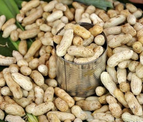 花生|糖尿病人吃花生,是升血糖还是降糖有利也有弊,仔细看看