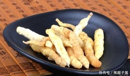 中医|大山里的这“假冬虫草”,你吃过没?中医说它对治疗肺结核有奇效