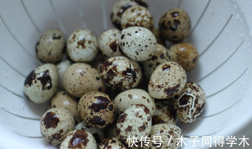 营养|早餐做鸟巢土豆丝饼，好吃营养高，分享详细做法快来跟着做