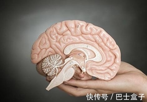 15个有趣的冷知识，书本不一定学不到，扑克牌4个K花色是这么来的