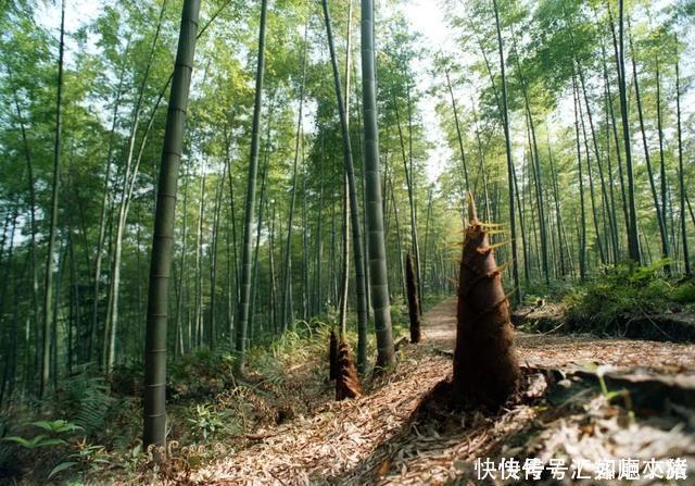 未来30天，既赏心悦目又能避暑纳凉的地方，错过就等一年