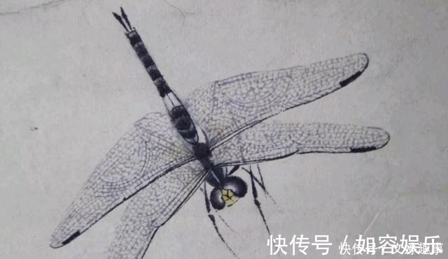 国画&冷军用4000万像素蜻蜓,比拼齐白石的蜻蜓,却输了细节