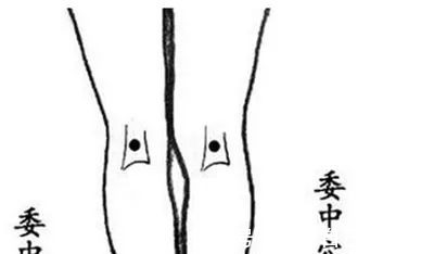 风池穴|老中医总结,哪里有病一看就知道!