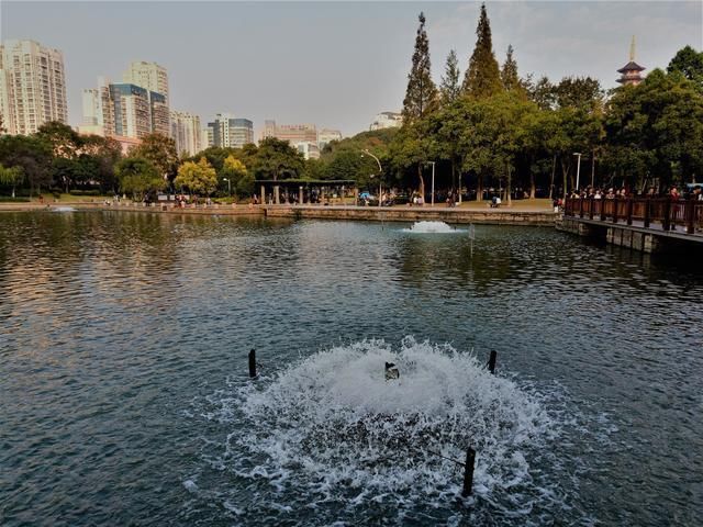 融化|温州又一公园走红，面积10.5公顷就在市区，景美人少还免门票