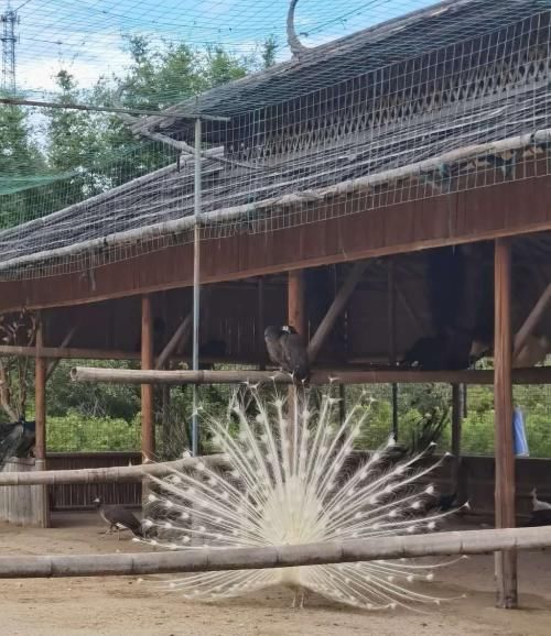 适合带娃一起去旅行，还有风景可以浪，这里温泉你要去