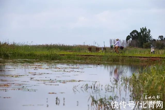 湖岸线|太太太美了！昆明又有两个湿地公园开放！还有一个好消息是…