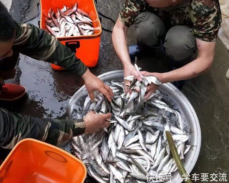 白条闹钩,被钓友所唾弃,总结7种应对方法