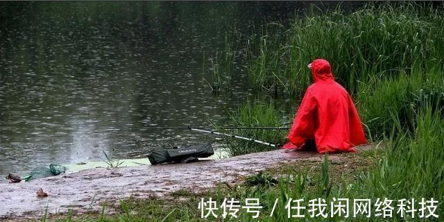 高温|“伏天到,鱼难钓”,入伏后,就该这样钓鱼!