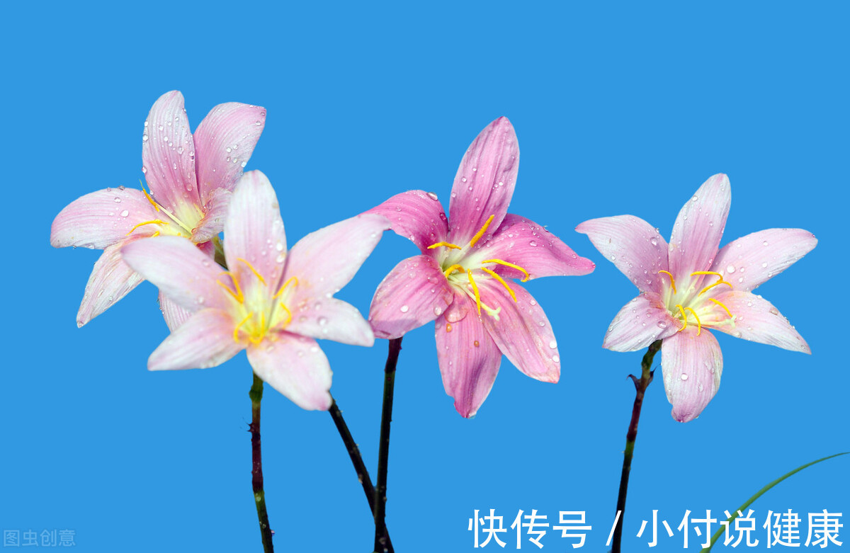 云南白药|用好中成药，也是名副其实的好医生