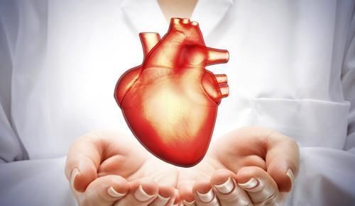 心脏和脾胃不好,都可以用身体上的一个穴位调,只花时间不花钱