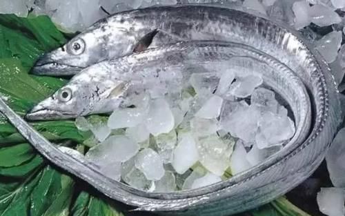 冬天吃鱼,首选这4种鱼,目前无法人工养殖,营养美味,贵点也值