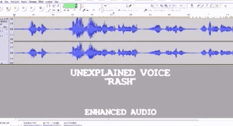 磁场|忙着捉鬼的头铁老外,用最高科技的装备当最专业的鬼魂猎人