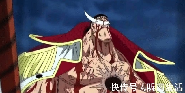 五皇|海贼王五皇的身高,白胡子不是最高的,凯多身高成迷!