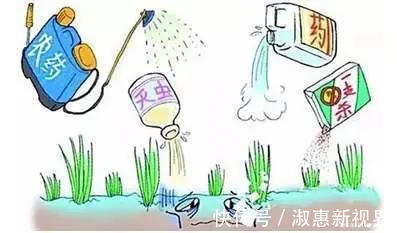 肝积水|8种最脏蔬果排名出炉,很多孩子都爱吃,吃水果前一定要多洗几遍