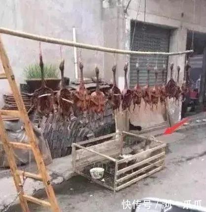 |搞笑GIF:摔成这样你这当妈的是不是很心痛?