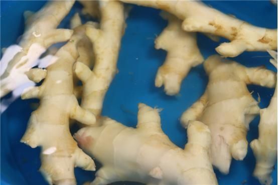 表皮|奶奶吃了50年的腌生姜秘制方法，传男不传女，存放越久越好吃