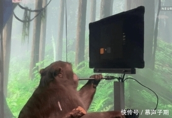 link 比马斯克靠谱!中国前首富投资10亿,脑机研究成果公布