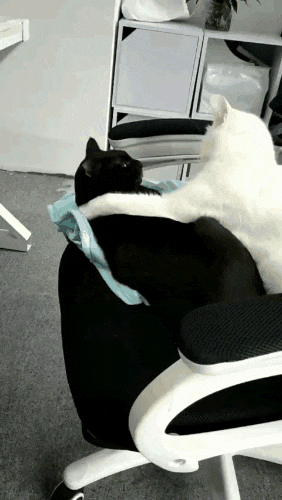 |搞笑GIF段子:挡着人行路了,就得踩着你过去!