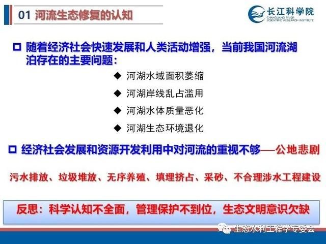 河流|「专家视角」许继军：河流生态修复理念、技术与实践