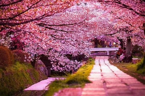 最受欢迎|日本旅游两首七绝的修改回复——写诗不仅仅是合律与否的问题