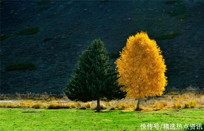 秋意|可可托海秋意渐浓