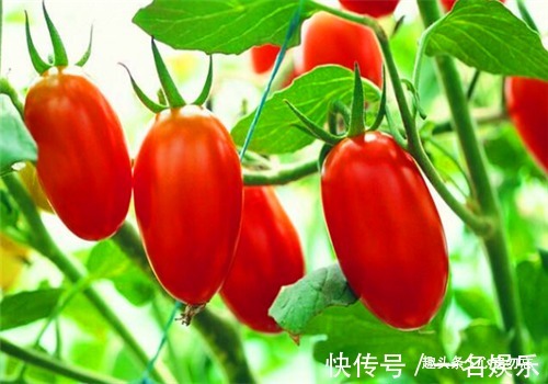 延缓衰老|秋天养生好时机,坚持吃3种食物,养护血管,延缓衰老