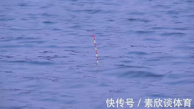 口诀|学会这三句口诀，浮漂一动就提竿，竿竿都有口