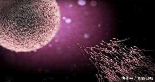 测孕纸|受精卵着床的五大感觉!好孕也能提前知晓,备孕妈妈要注意了!