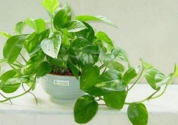 活性炭|切记:新房除甲醛不能一直通风,这三种情况根本不适合通风