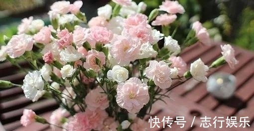 幸福|7天后，爱对的人，似水流年，红娘做媒，重启幸福，白鹭成双