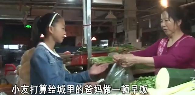 浓妆|《变形计》“神仙妹妹”梁小友高二辍学后成网红,浓妆直播惹众议