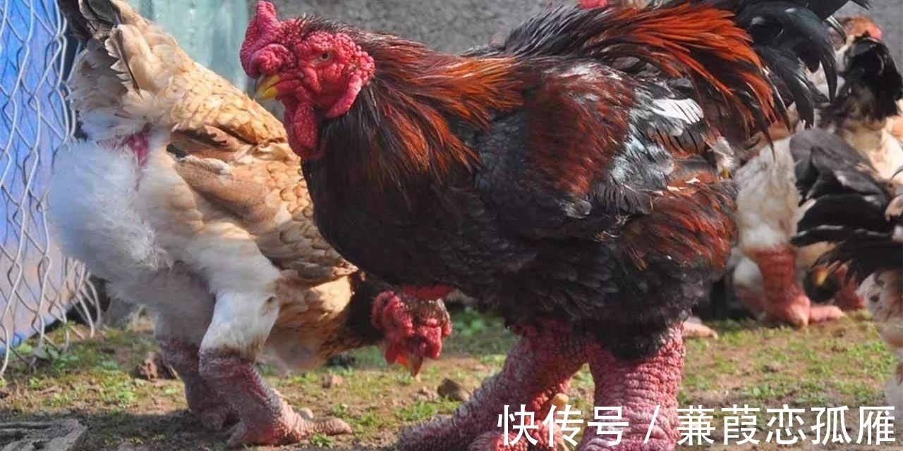 趣味冷知识分享,快来一起看看吧!