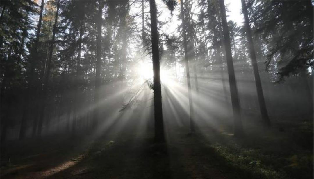  一辈子信佛的王维晚年隐居终南山，写下一首五律，每一句充满禅理