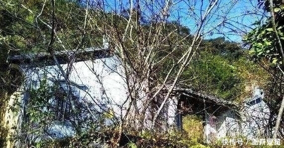 发现深山老林的无人村,这里却是风景优美,青山绿水