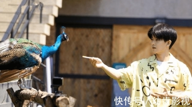 收視率|“嗨放派”第二期收視反而下降，觀眾吐槽節(jié)目太無聊，實驗很無趣