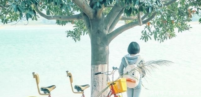 感情|感情中最好的相处方式,不过如此