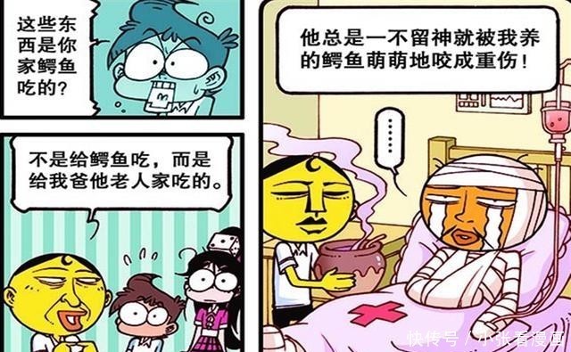 儿子|星太奇：奋豆把鳄鱼当狗养，奋爸为了鳄鱼不咬自己，想换个儿子！