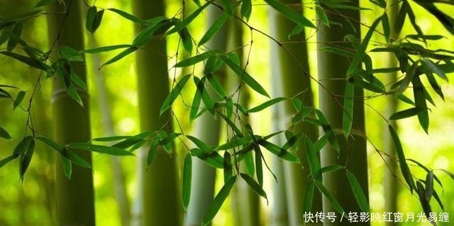 潇潇|这首宋词冷僻而惊艳,寥寥数语,写尽世间最刻骨的相思,一眼入心