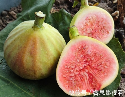 多喝|在有孕阶段,有5种食物孕妈常吃可以清除体内毒素,有益宝宝发育