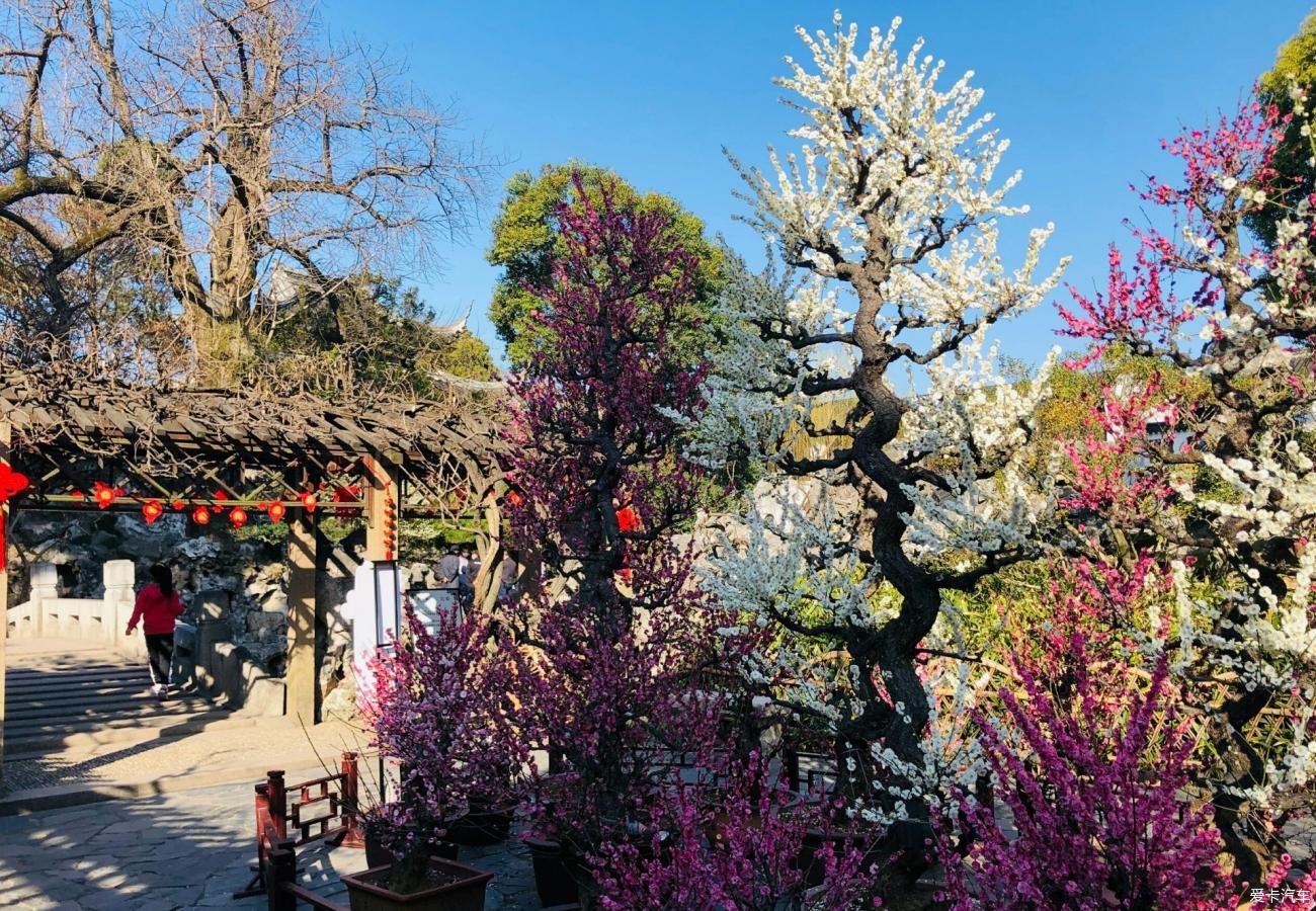 写意|写意庭园何处寻姑苏城中有山林