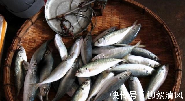 清蒸鲈鱼|上市场买鱼,这3种才是“营养首选”!一说名字老板便知你是行家!