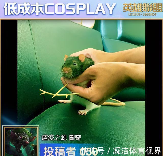 猪妹|LOL台服举办低成本COS大赛,猪妹Cos杀死比赛,悠米本体出现了?
