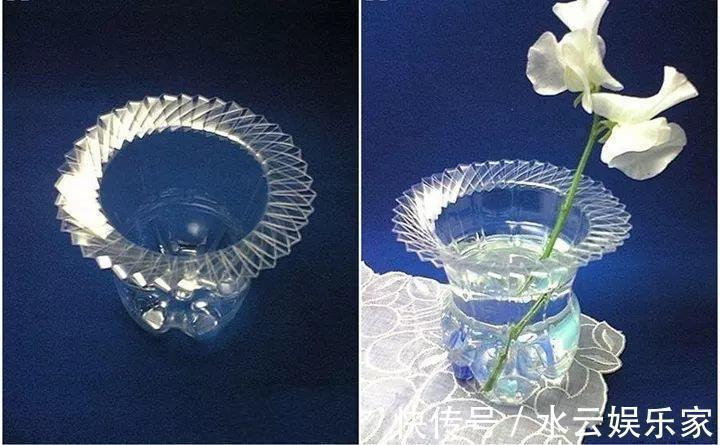 雪碧瓶别丢了,剪个口子拿来养花,一点不比买得花盆差!