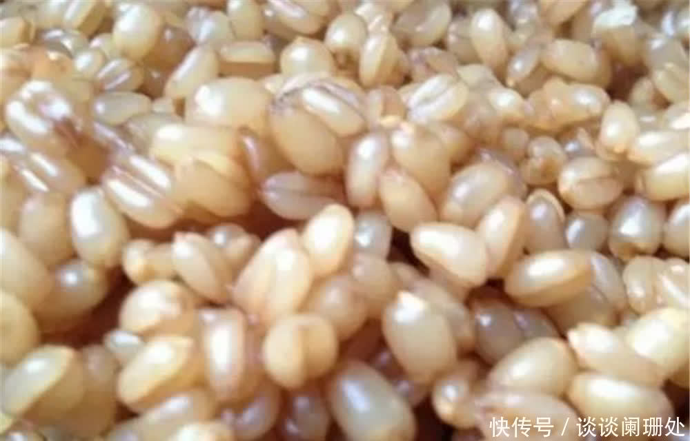 配方|夏季天热鱼儿“口难开”,用这些自制饵料配方,不愁没鱼咬钩!