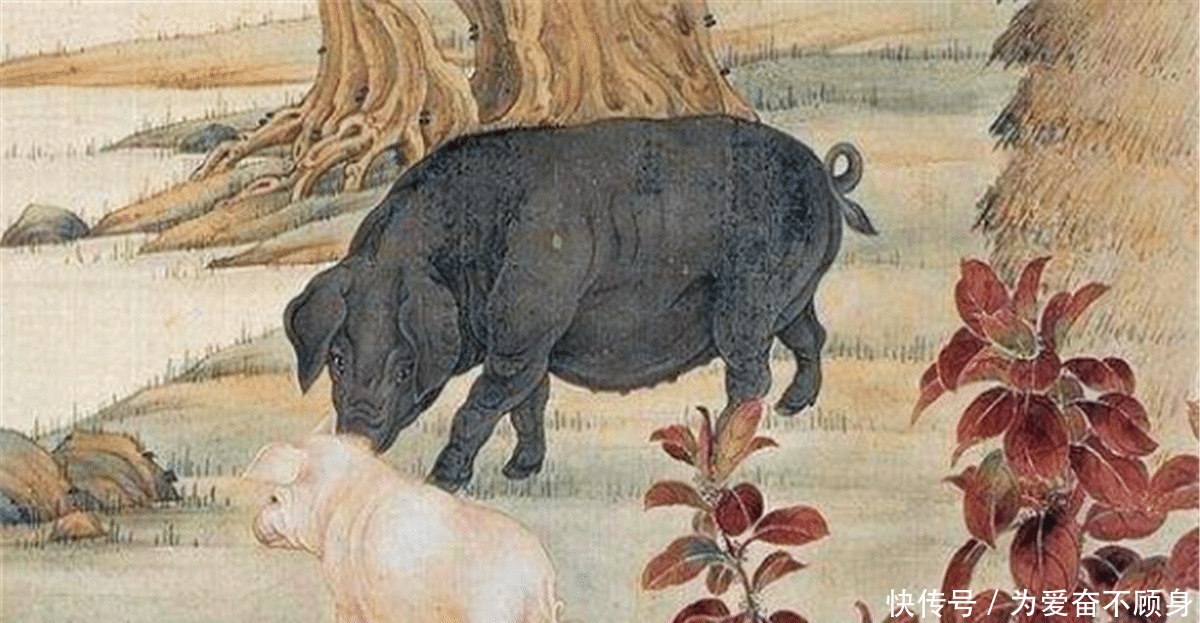 古语说“正月的猪，五月的牛”，到底有何特殊老祖宗的话很经典！
