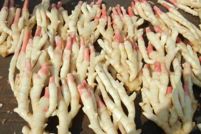 做醋泡姜,不要直接加醋泡,多加“1步”,口感更好保存时间久