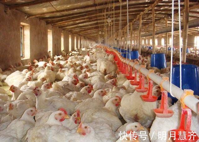 桉桉|你的孩子可能在被“催熟”,家长注意这些食物让孩子吃,容易早熟