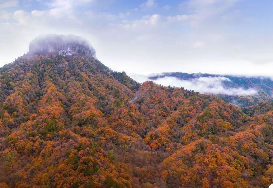  五大|秋日登高正当时，广元五大爬山好去处，赏景锻炼两不误