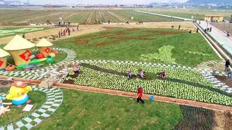 留在普陀过年丨挖到春节好去处！打卡网红田园，中式院落赏梅花，田园里摘草莓...过瘾！